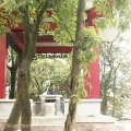 南港公园